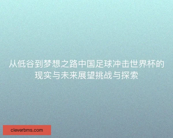 从低谷到梦想之路中国足球冲击世界杯的现实与未来展望挑战与探索